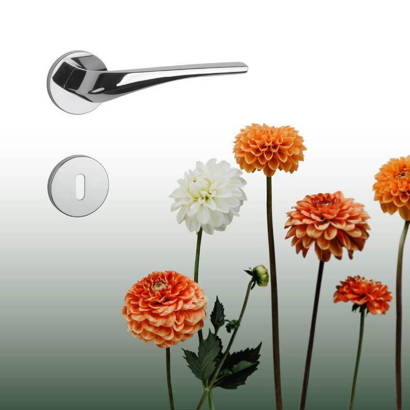 AS - DALIA - R 7S detail 4