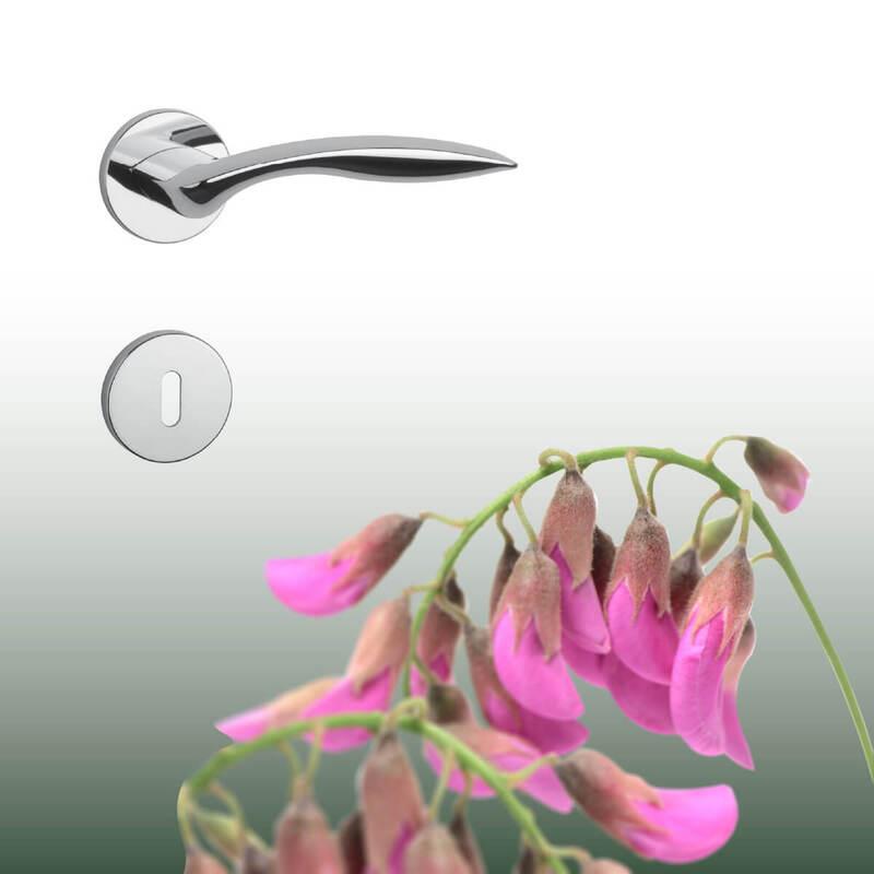 AS - ROBINIA - R 7S detail 4
