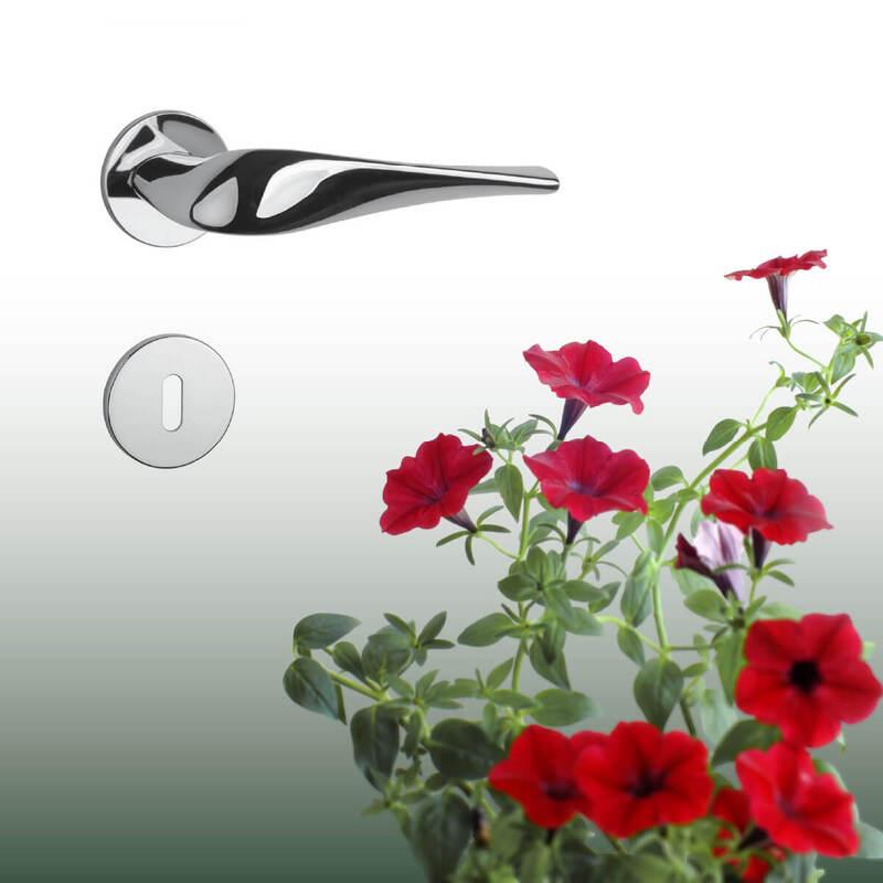 AS - PETUNIA - R 5S detail 4