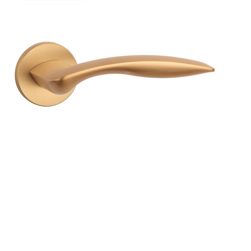 AS - ROBINIA - R 7S detail 6