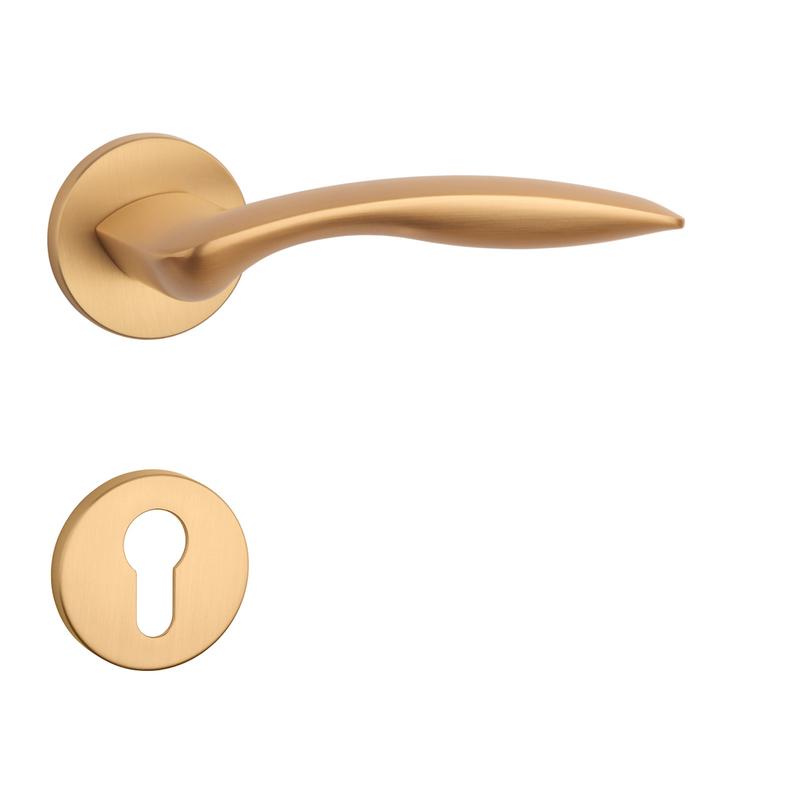 AS - ROBINIA - R 7S detail 2