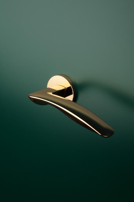 AS - ROBINIA - R 7S detail 2